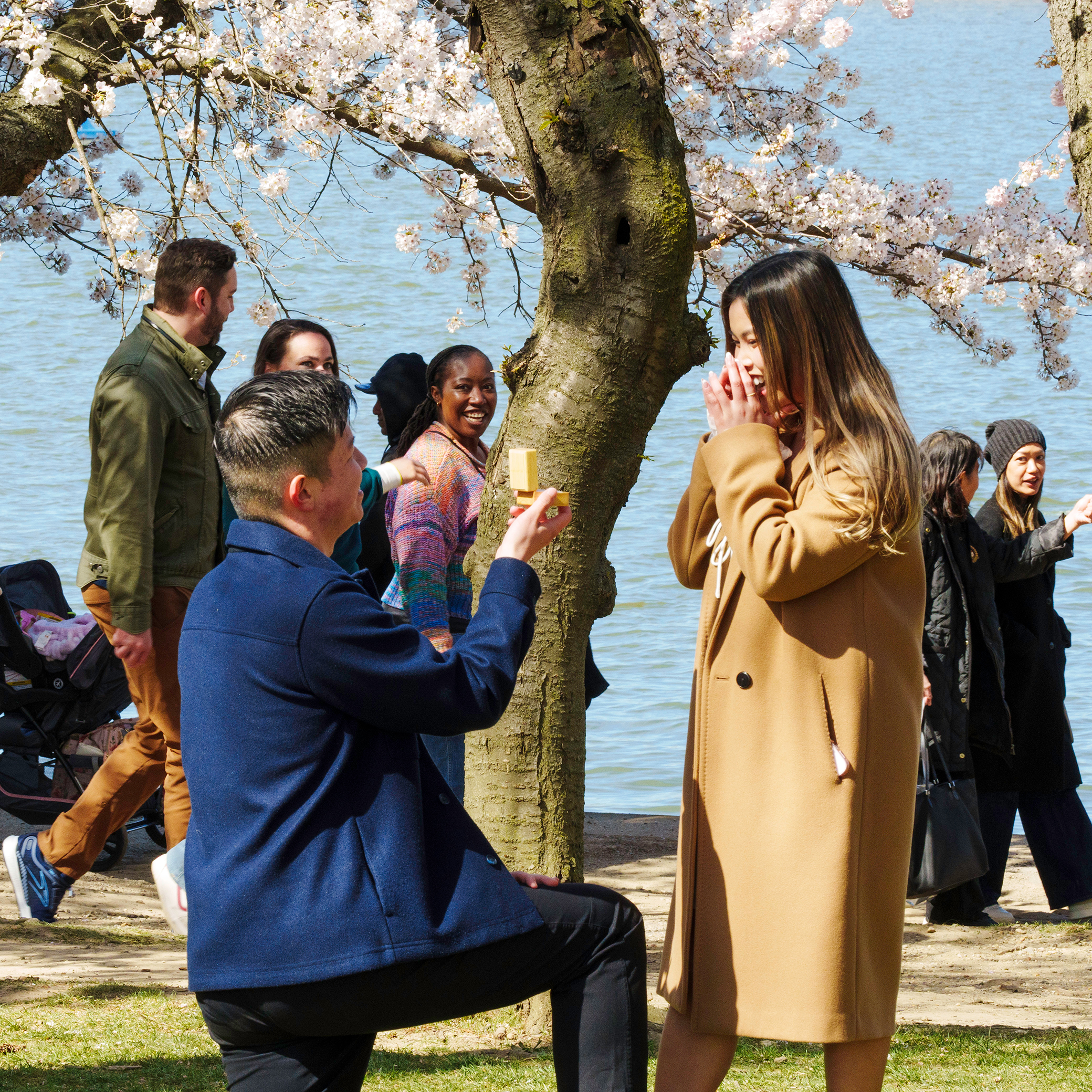 Proposal